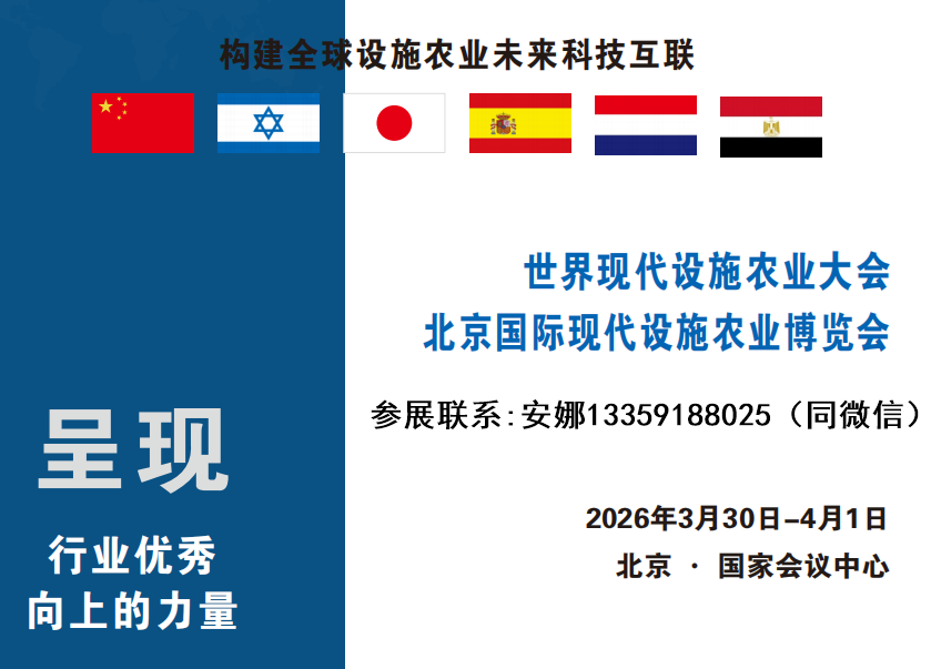 2026ִʩũҵᱱִʩũҵ